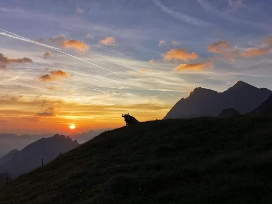 Alpenperle Apartment Isenthal Luaran gambar