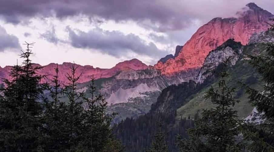 Alpenperle Apartment Isenthal Luaran gambar